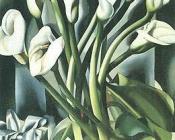 Calla Lilies - 塔梅拉·德·莱姆皮卡